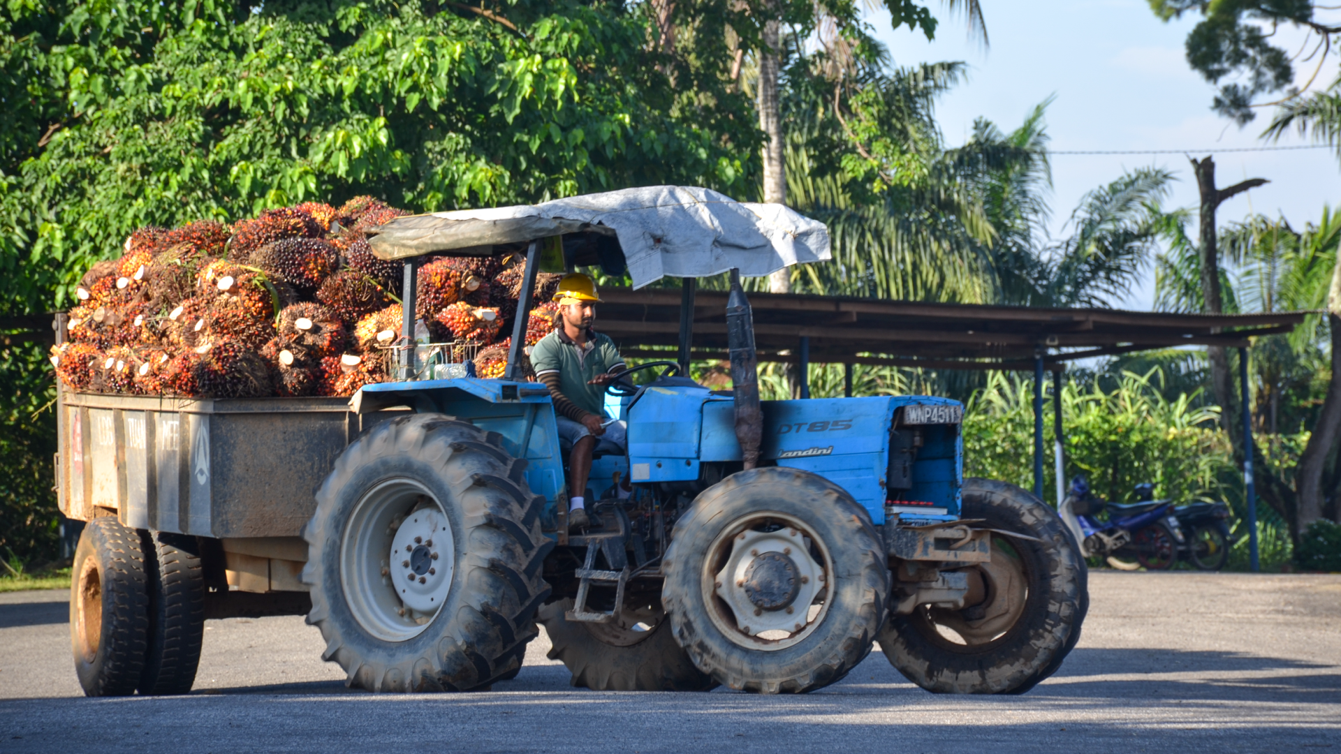 Plantations Kuala Lumpur Kepong Berhad Klk Malaysia